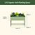 Elevated Garden Bed | Vego Garden