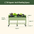 Elevated Garden Bed  | Vego Garden