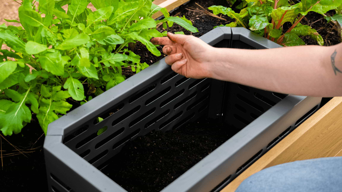 No Mess, Just Compost