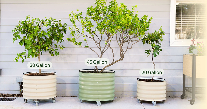 Vego garden beds