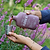 Organic Bio Fungicide | Vego Garden