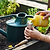 Organic Bio Insecticide | Vego Garden