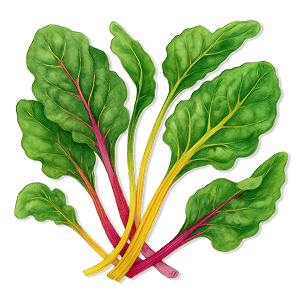 Vego garden beds