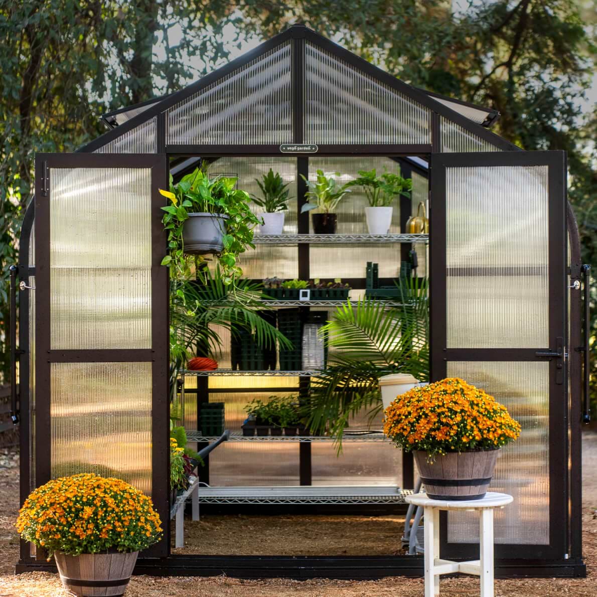 Vego garden beds