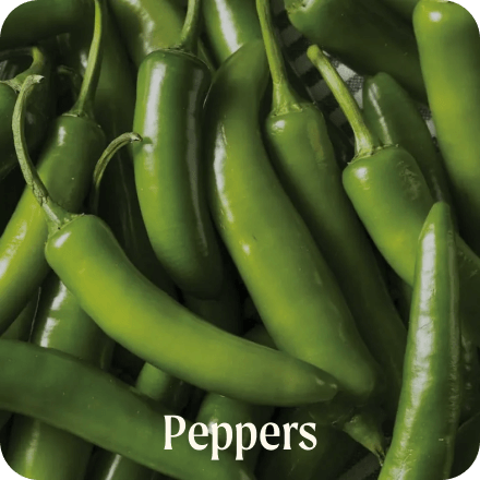 Peppers