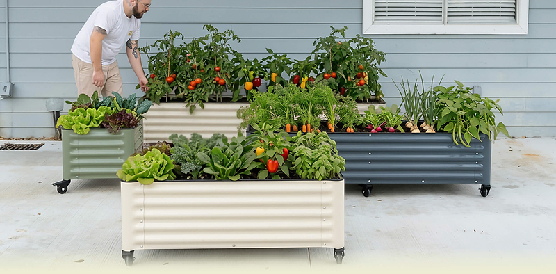 Vego garden beds