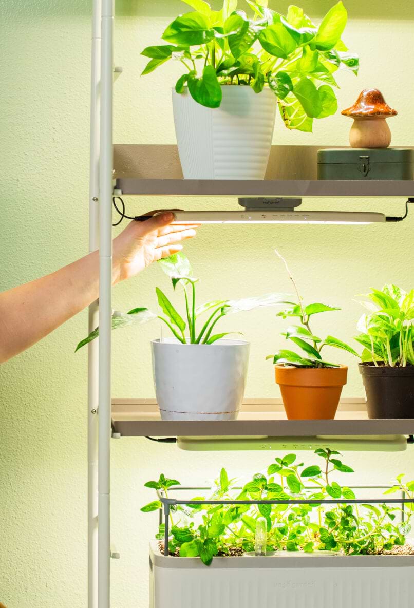 Vego garden beds