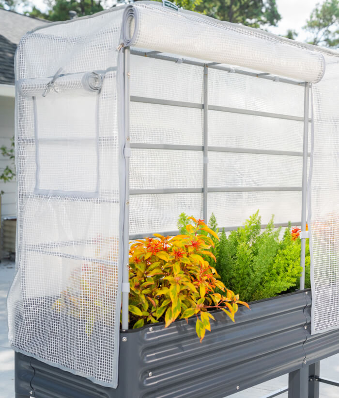 Vego garden beds