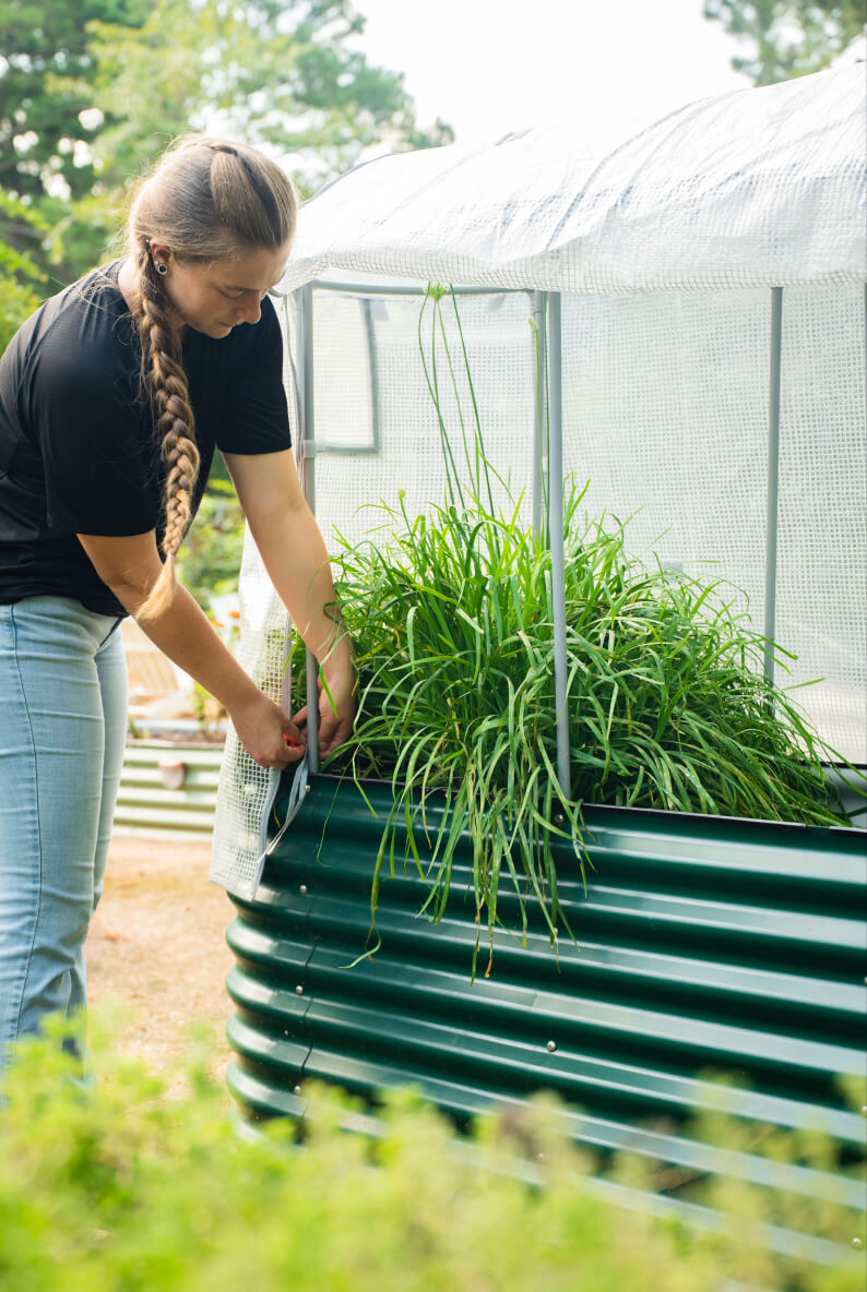 Vego garden beds