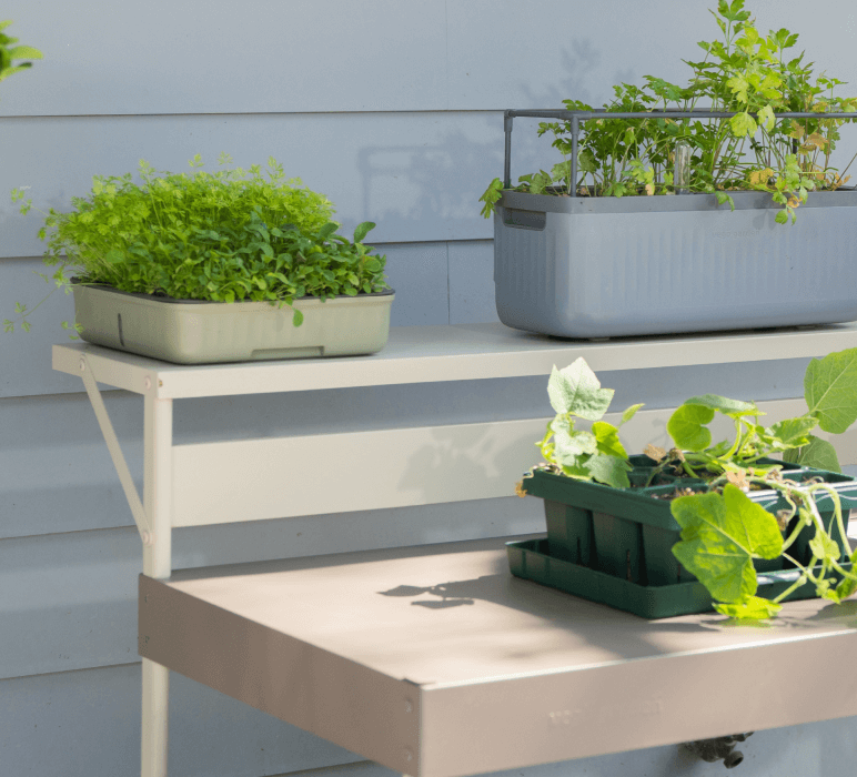 Vego garden beds