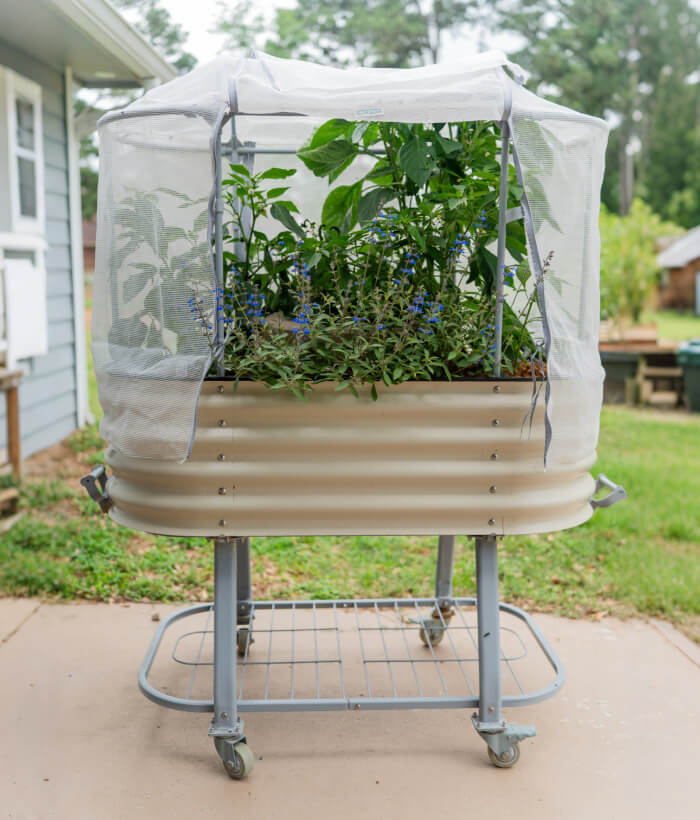 Vego garden beds