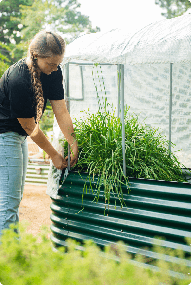 Vego garden beds