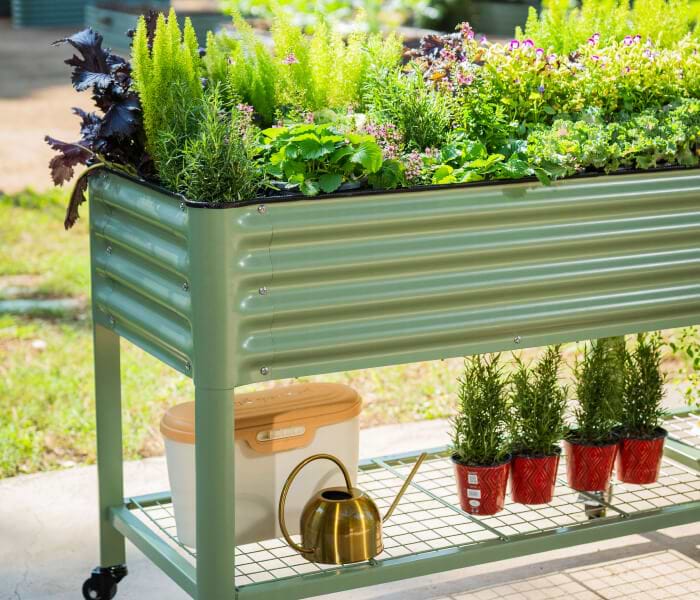 Vego garden beds