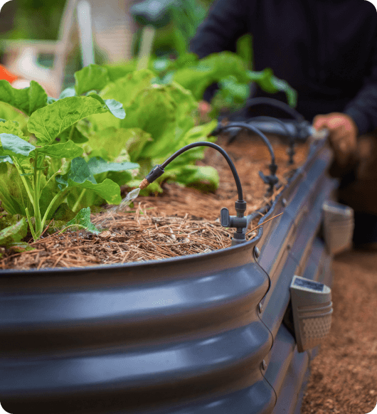 Vego garden beds