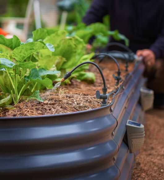Vego garden beds