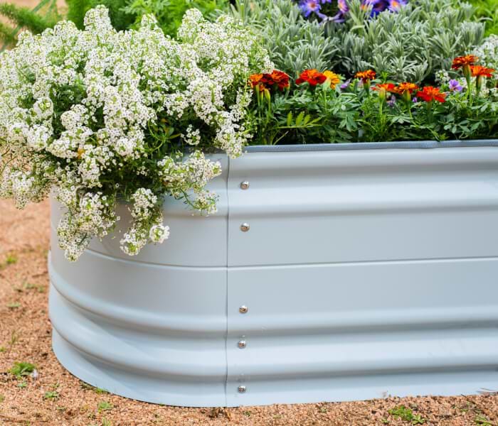 Vego garden beds