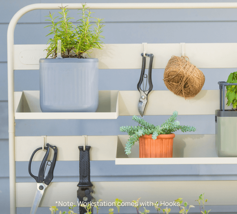 Vego garden beds