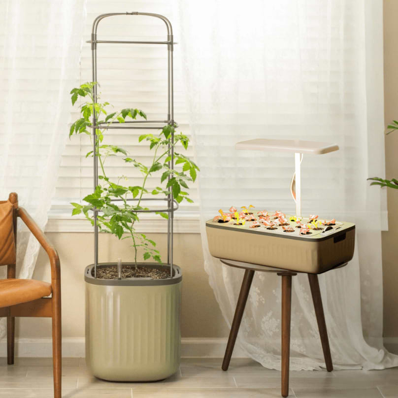 Vego garden beds