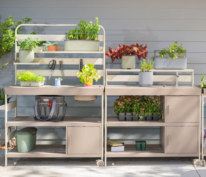 Vego garden beds