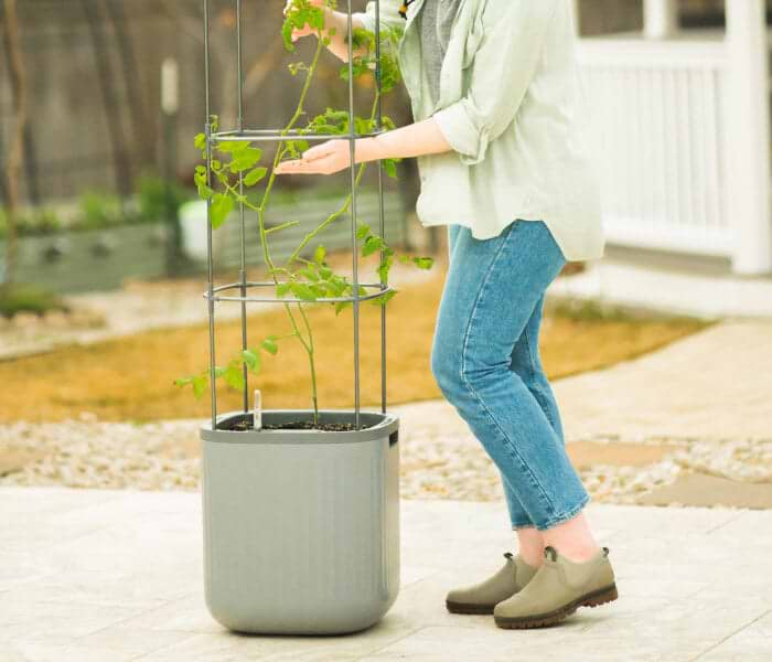 Vego garden beds