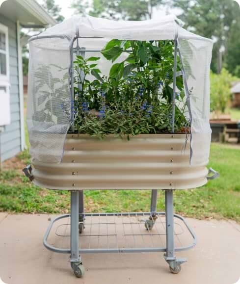 Vego garden beds