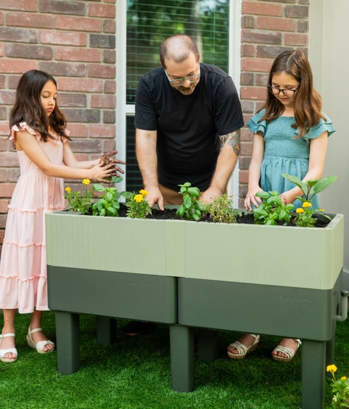 Vego garden beds