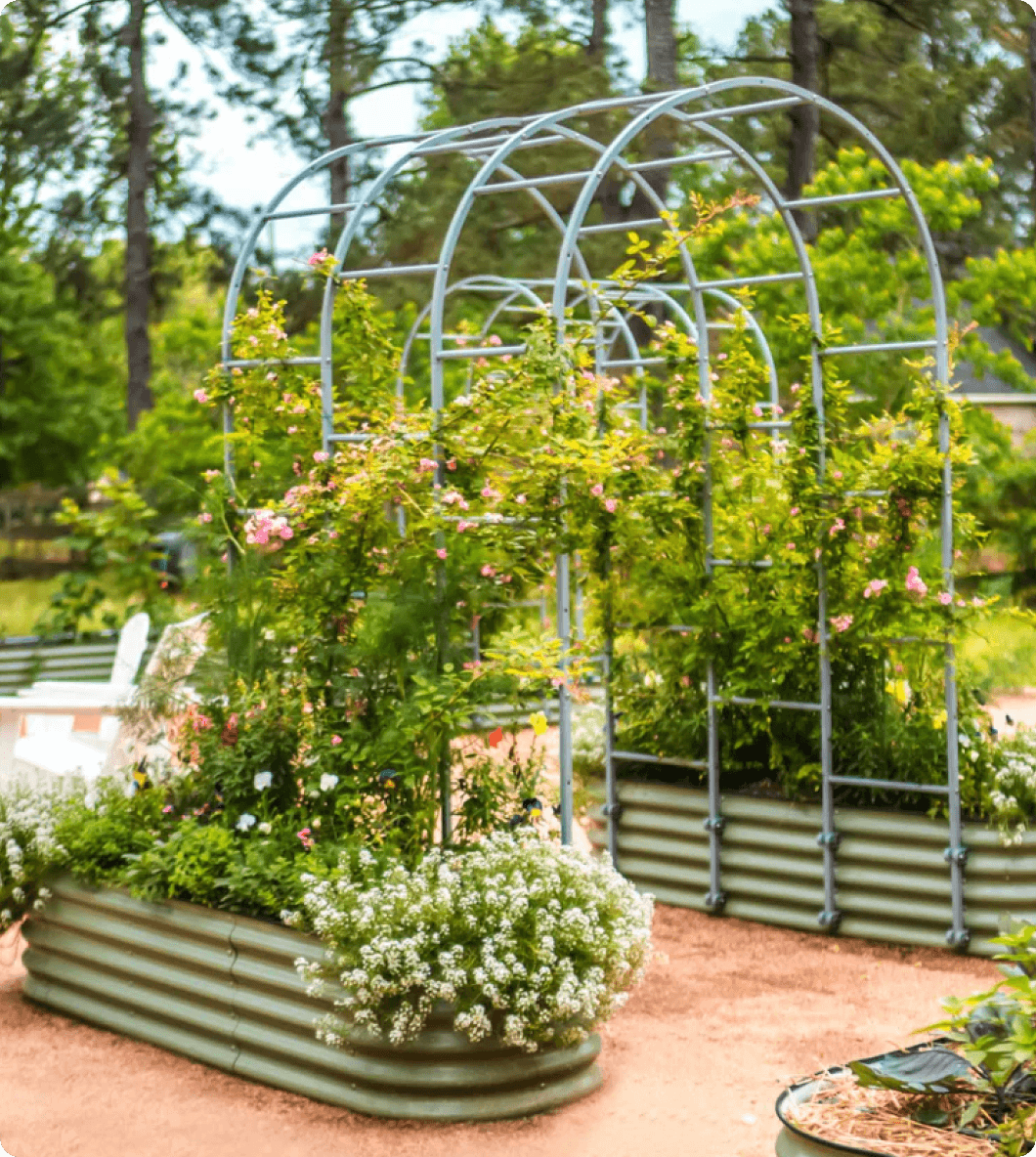 Vego garden beds