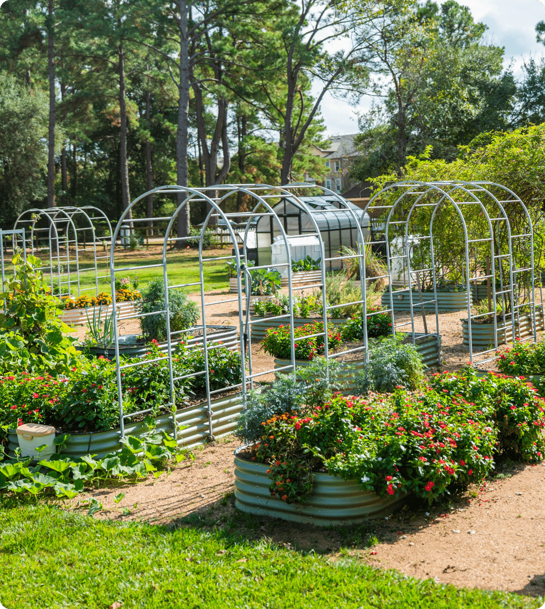 Vego garden beds