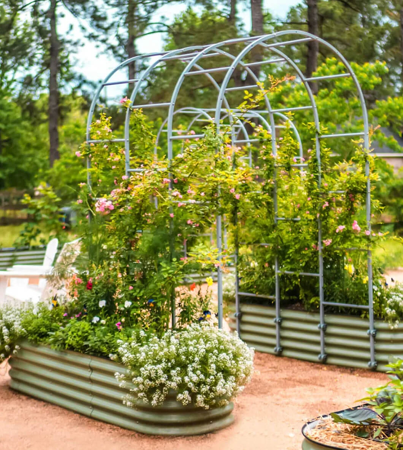 Vego garden beds