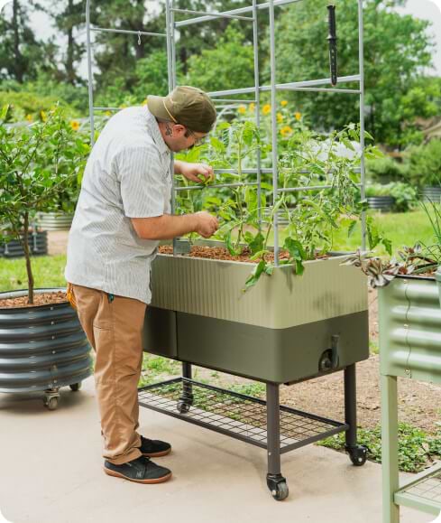 Vego garden beds