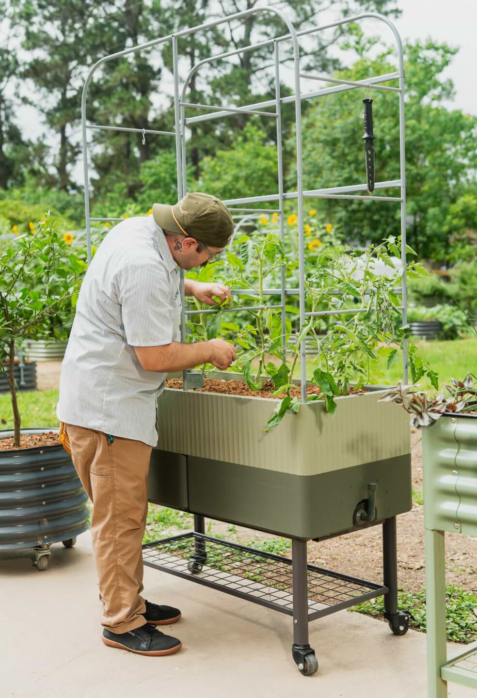 Vego garden beds