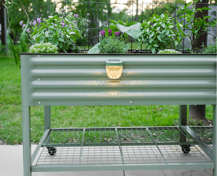 Vego garden beds