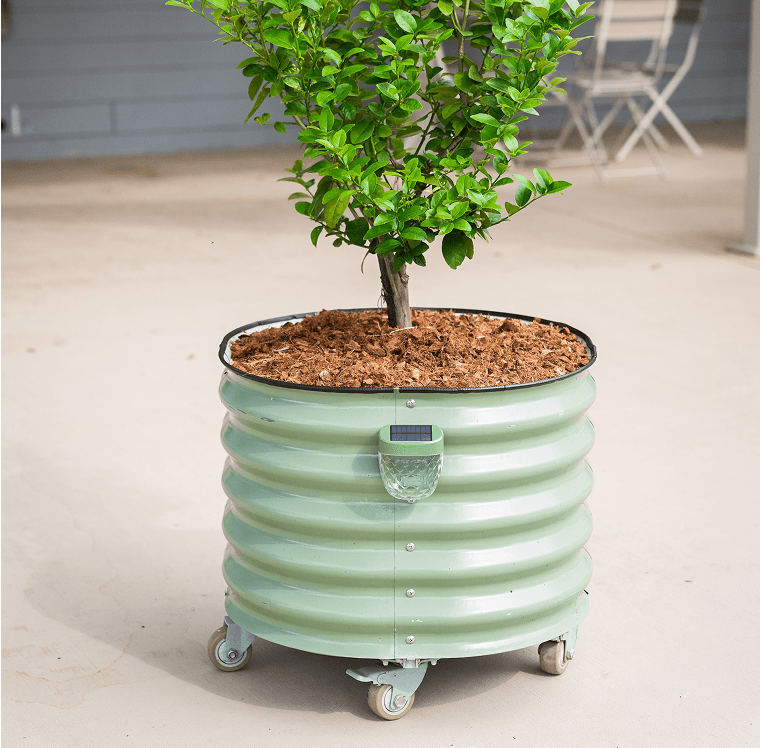 Vego garden beds
