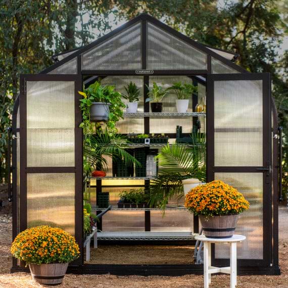 What Is a Greenhouse? How It Works, Uses, and Benefits