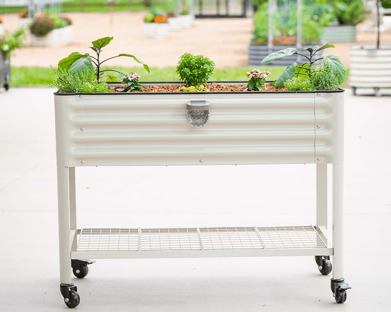 Vego garden beds