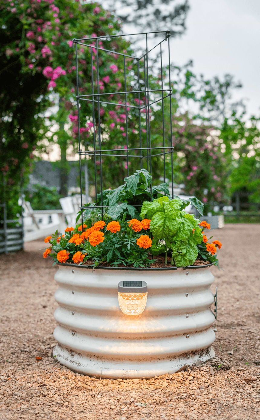 Vego garden beds