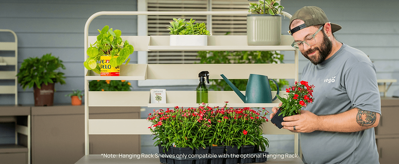 Vego garden beds