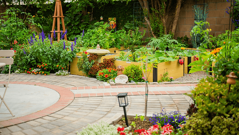 Plant Your Garden