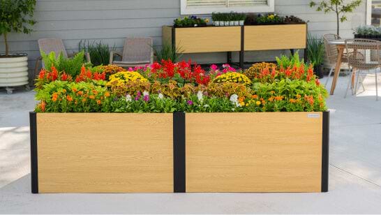 Vego garden beds