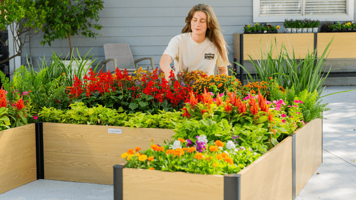 Vego garden beds