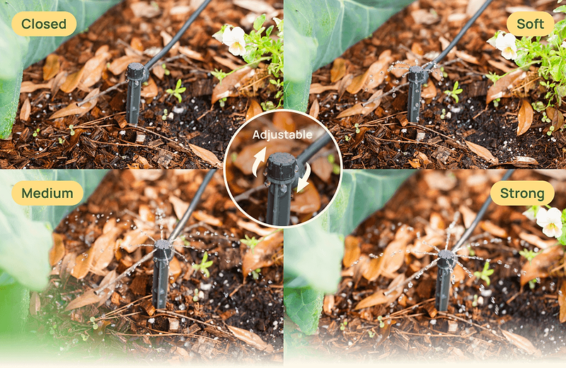 Vego garden beds