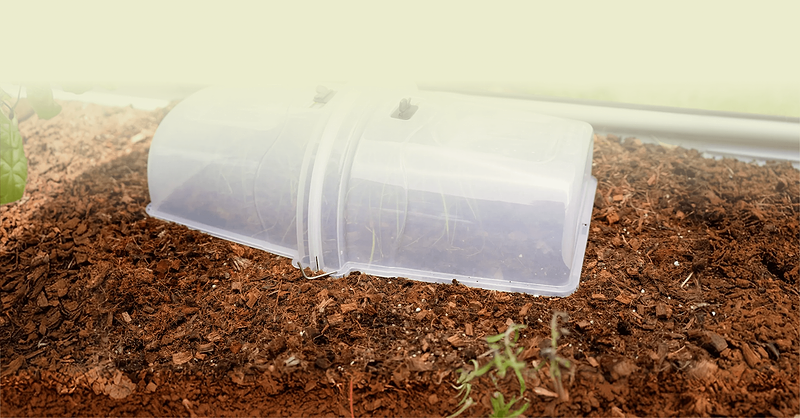 Vego garden beds