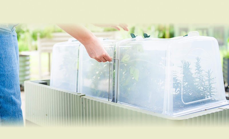 Vego garden beds