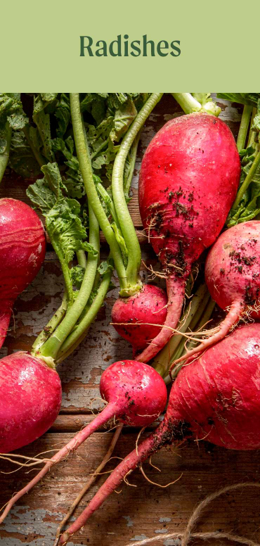 Radishes