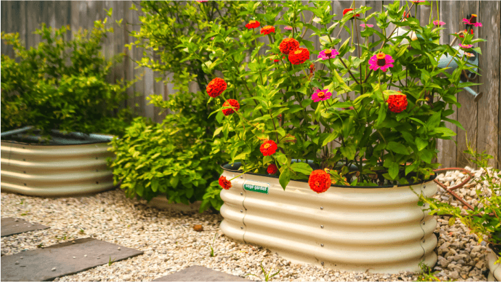 Vego garden beds