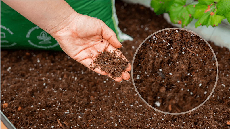 Vego garden beds