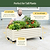 Classic Rolling Garden Beds | Vego Garden