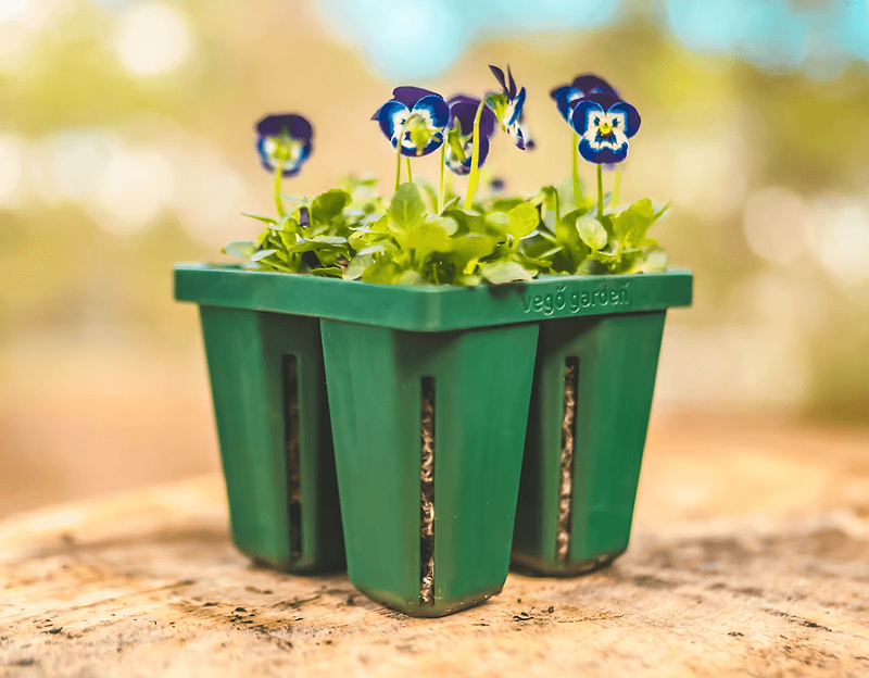 Vego garden beds