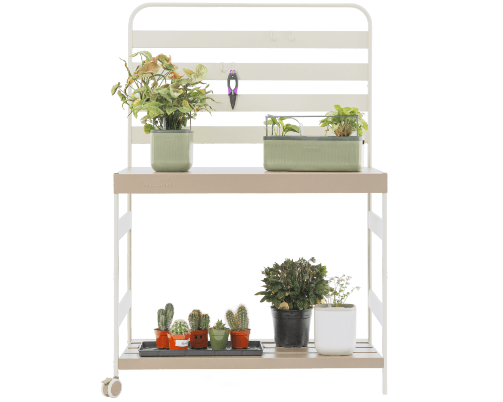 Vego garden beds