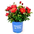 Cinnamon Hearts™ Rose